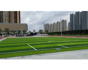 学校人造草足球场