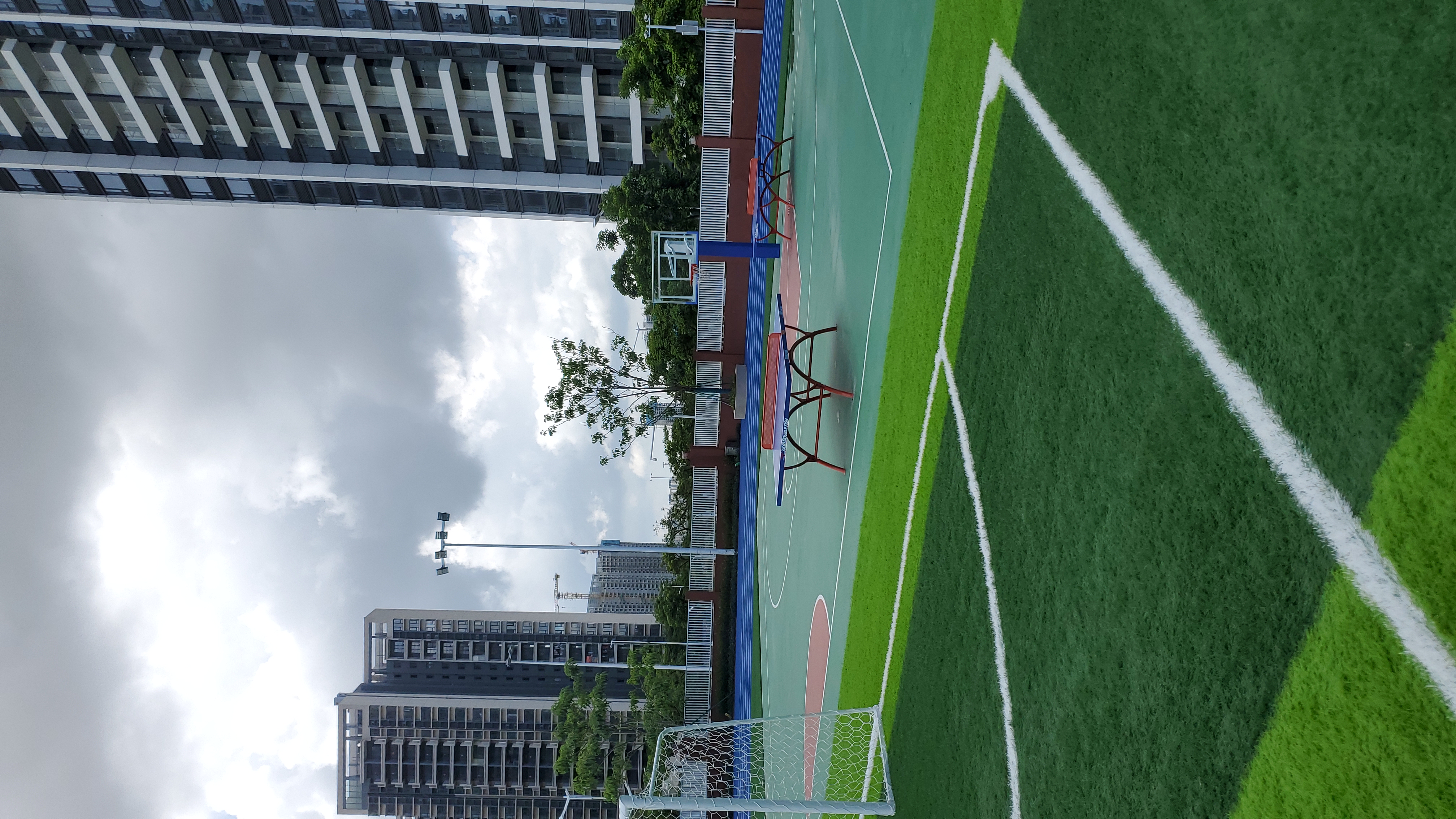 人造草坪的优点有哪些呢