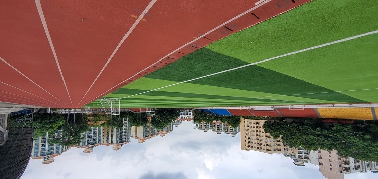 塑胶跑道、人造草坪与立美地胶搭配