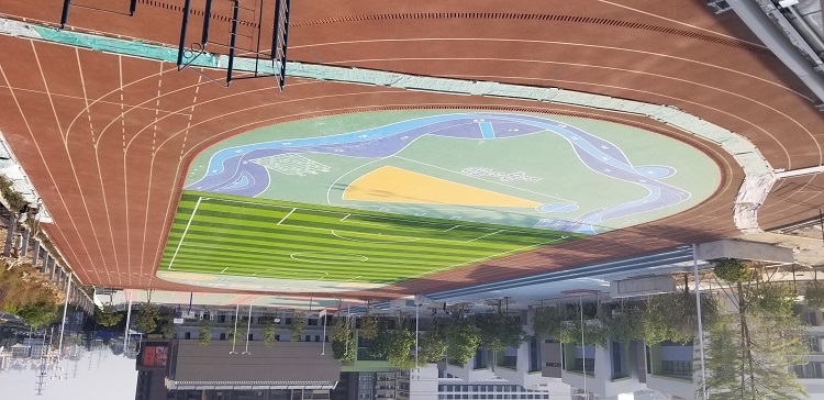 mmexport1679233543538