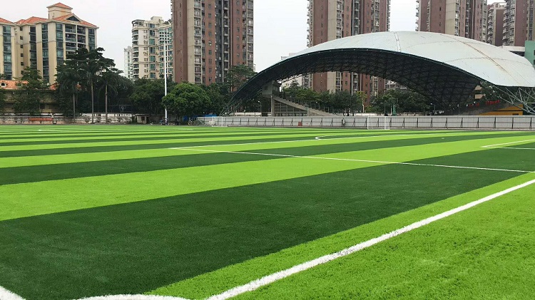 东莞技师学院活力校园的基石