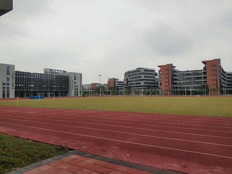 匠心筑造运动天地：专业塑胶跑道及场地材料的魅力