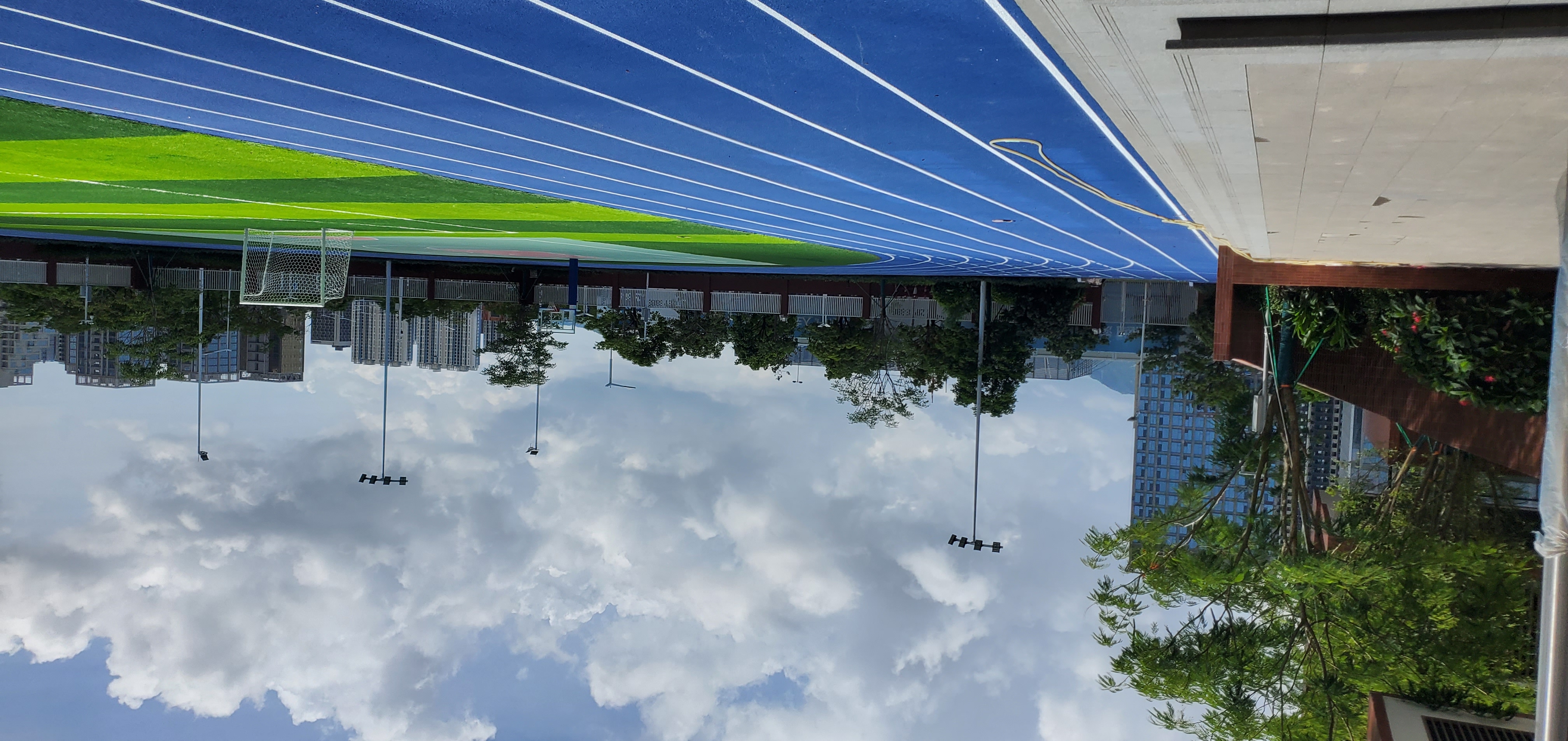 人造草坪的生产制作技术不断得到了创新和提高。